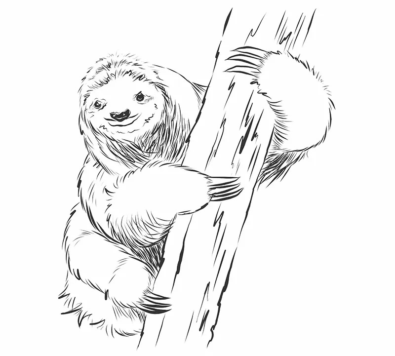 APictureOfASloth logo